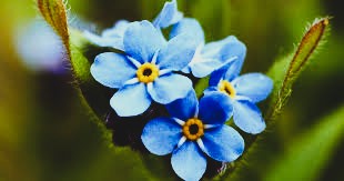 Something about memory. 