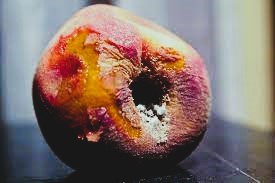 Side A: The History and The Ache